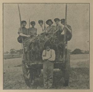 Bexhill Chronicle 7.10.1916 Land Girls