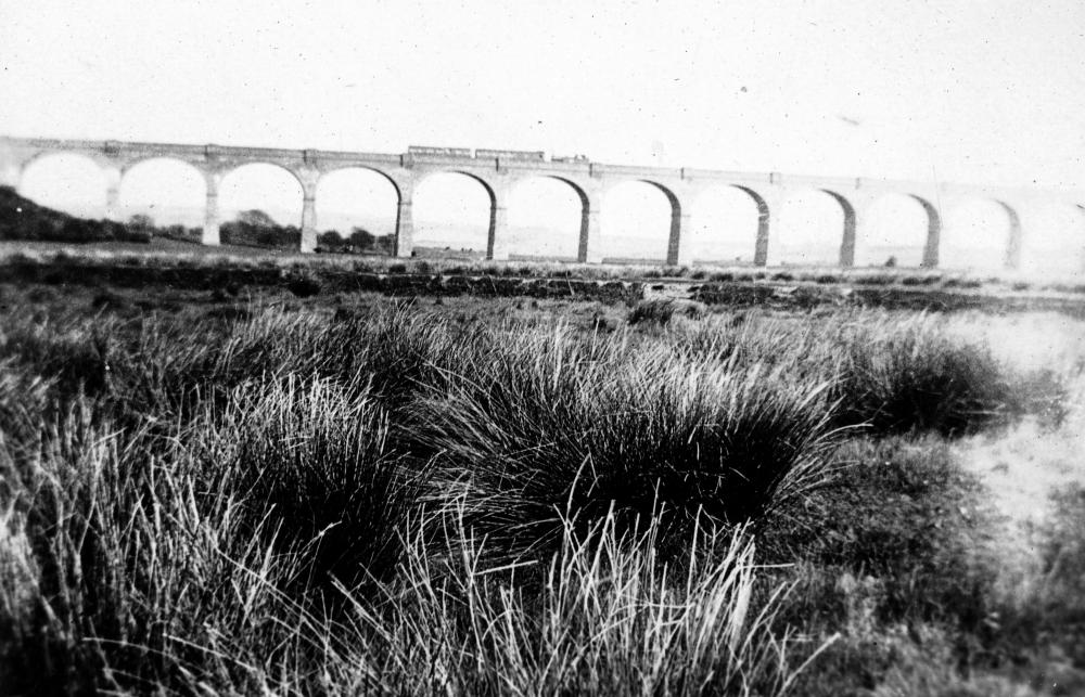 Crowhurst Ramps Railway Stations - Bexhill Museum