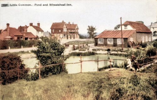 Little Common, Pond & Wheasheaf Inn c1910 2