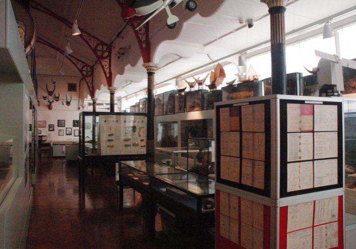 sargent gallery